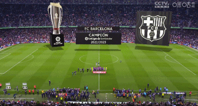 西媒：西甲和西班牙足协在内格雷拉案中表现消极，让皇马愤怒（西媒：西甲与西足协在内格雷拉案态度消极，激怒皇马）